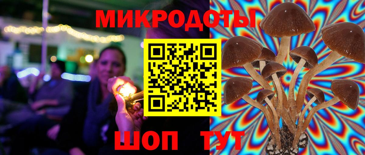 Галлюциногенные грибы мухоморы Советск